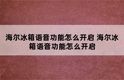 海尔冰箱语音功能怎么开启 海尔冰箱语音功能怎么开启